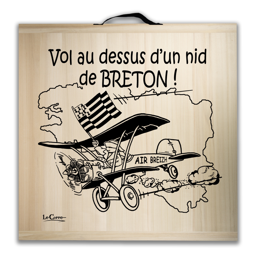Kit de jeu de palets breton - Vol au dessus d'un nid de bretons