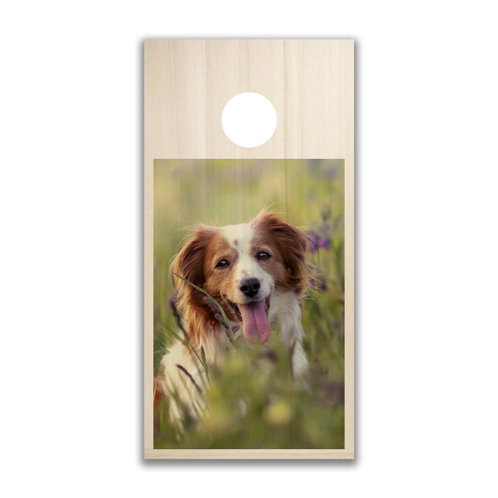 CORNHOLE PERSONNALISABLE – Image 4