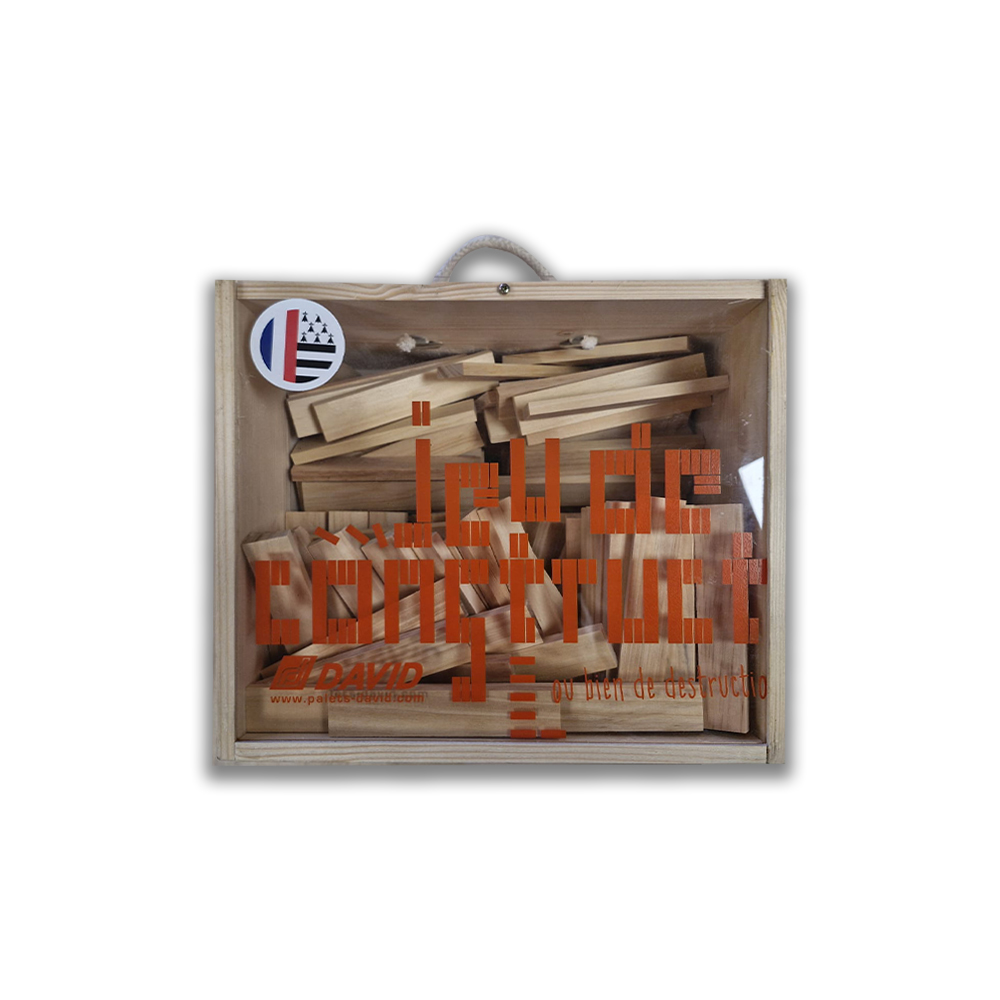 JEU DE 200 BRIQUETTES DE CONSTRUCTION